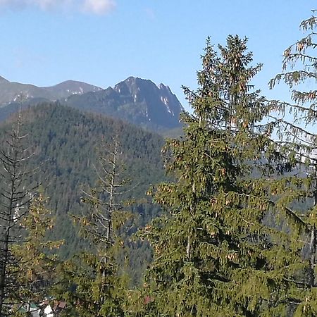 Apartament Z Kogutem Zakopane Exterior photo