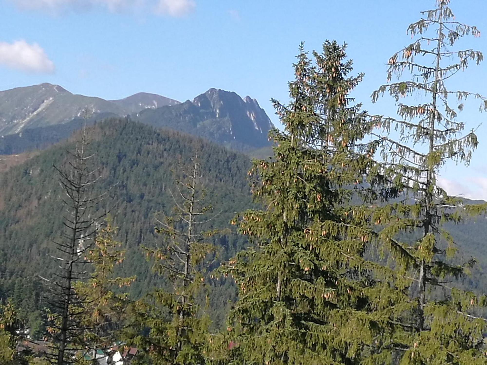 Apartament Z Kogutem Zakopane Exterior photo
